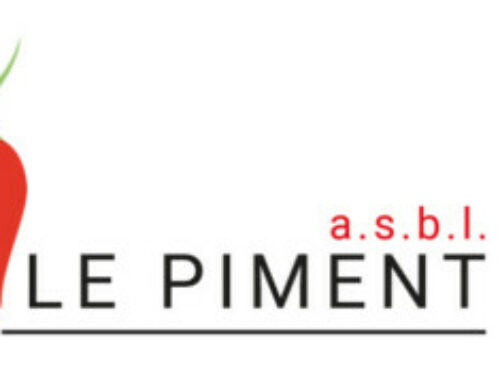Formateur·trice en FLE