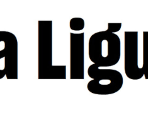 Animateur·ice / formateur·ice orienté·e FLE
